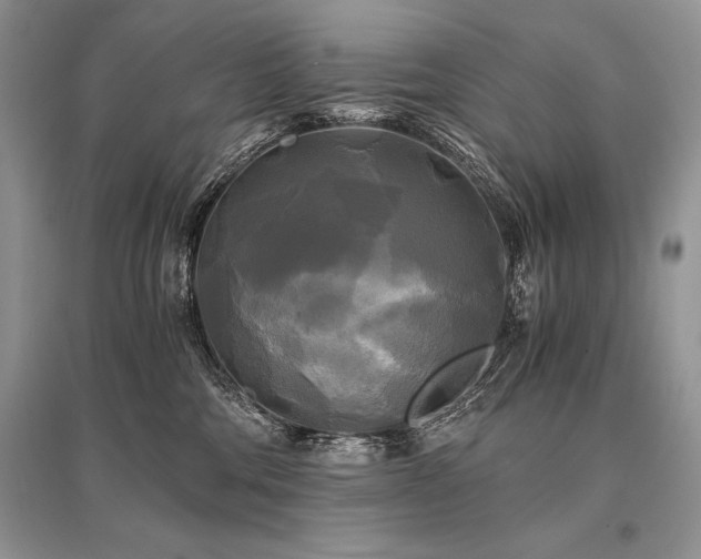 X0000096380330200801241243
