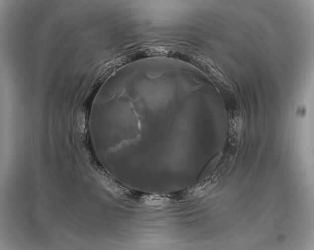 X0000096380331200801241243