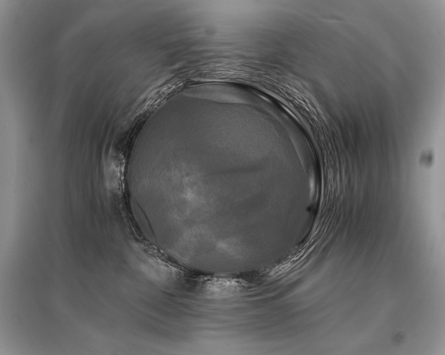 X0000096380332200801241243