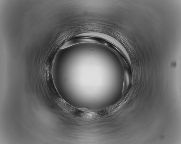 X0000096380333200801241243