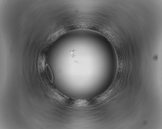 X0000096380334200801241243