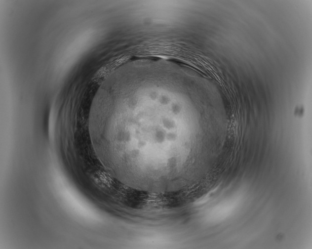 X0000096380335200801241243