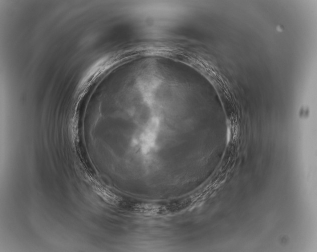 X0000096380339200801241242