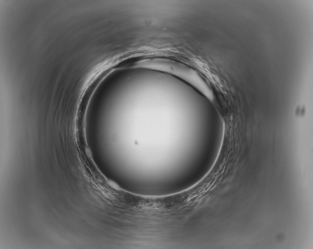 X0000096380340200801241242