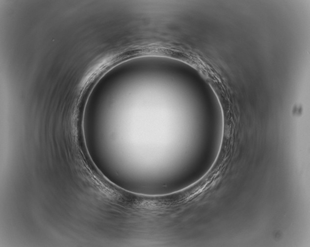 X0000096380341200801241242