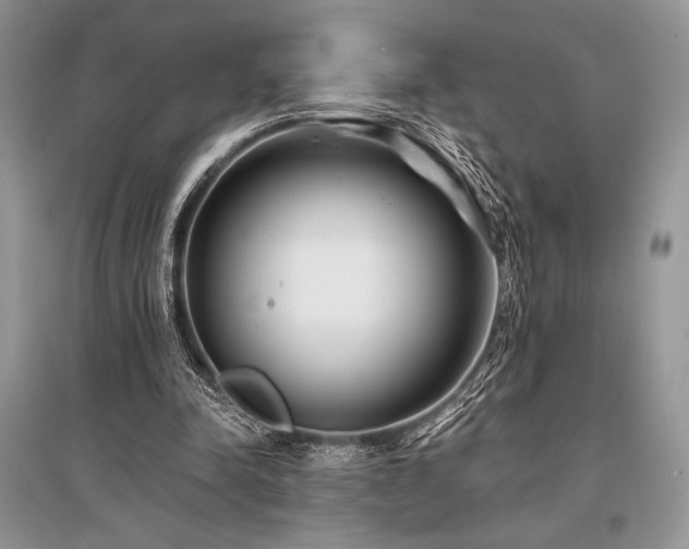 X0000096380342200801241242