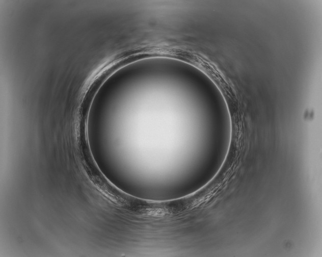 X0000096380344200801241242