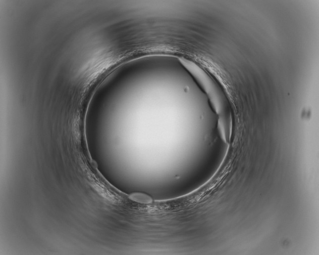 X0000096380345200801241242