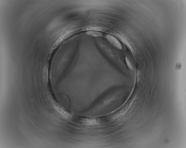 X0000096380349200801241242
