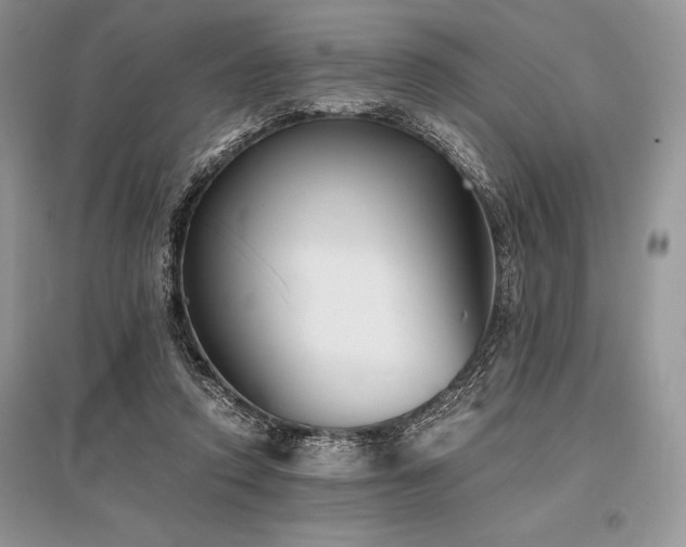 X0000096380354200801241242