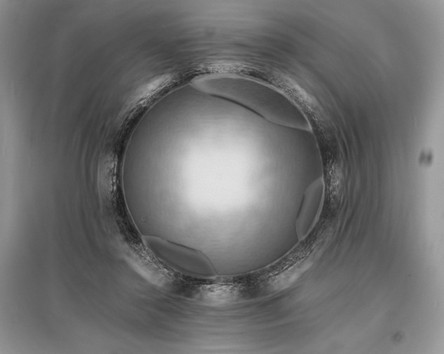 X0000096380356200801241242