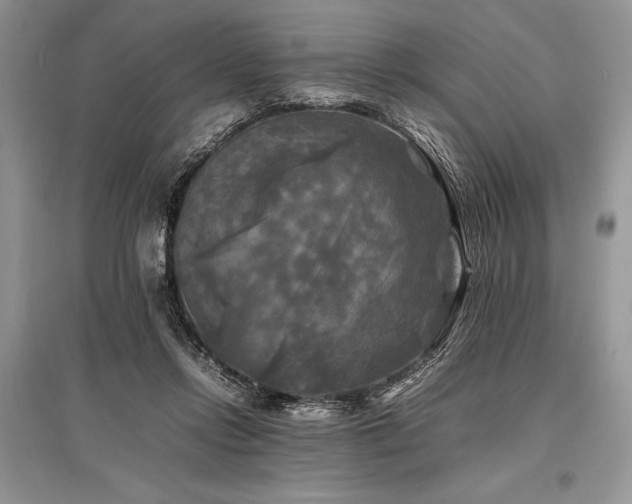 X0000096380358200801241242