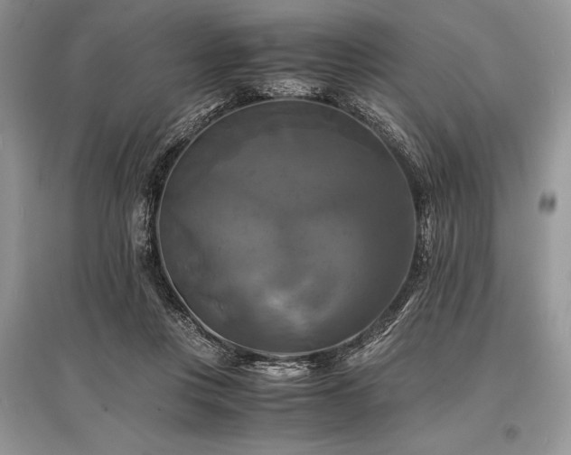 X0000096380359200801241242