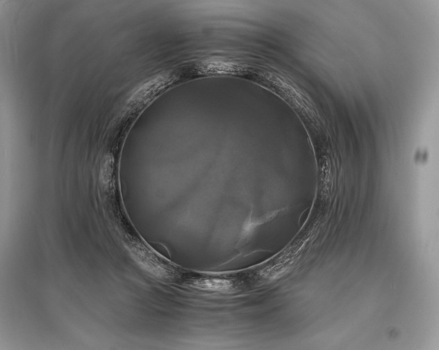 X0000096380361200801241242