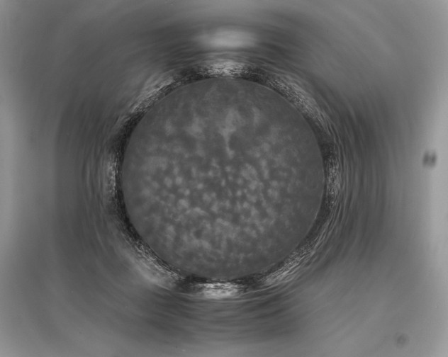 X0000096380363200801241242
