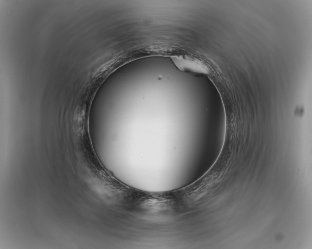 X0000096380364200801241242