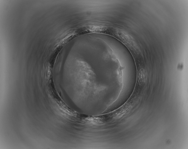 X0000096380367200801241242
