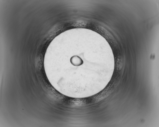 X0000096380370200801241242