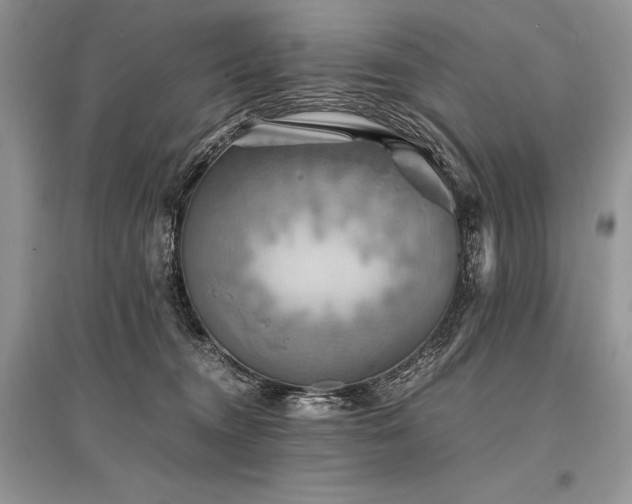 X0000096380372200801241242