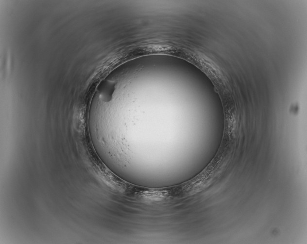 X0000096380373200801241242