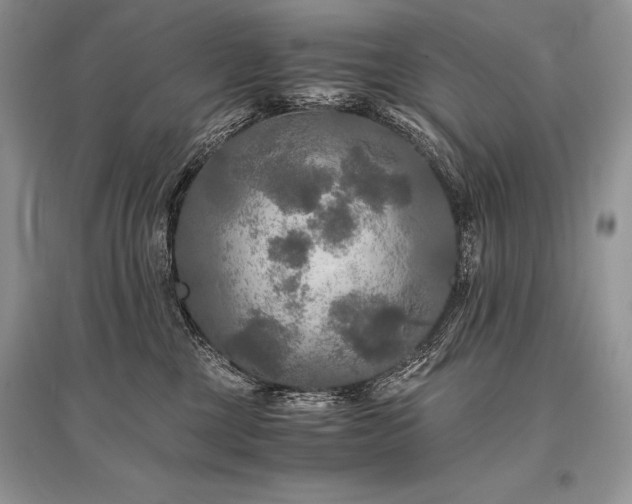 X0000096380377200801241242