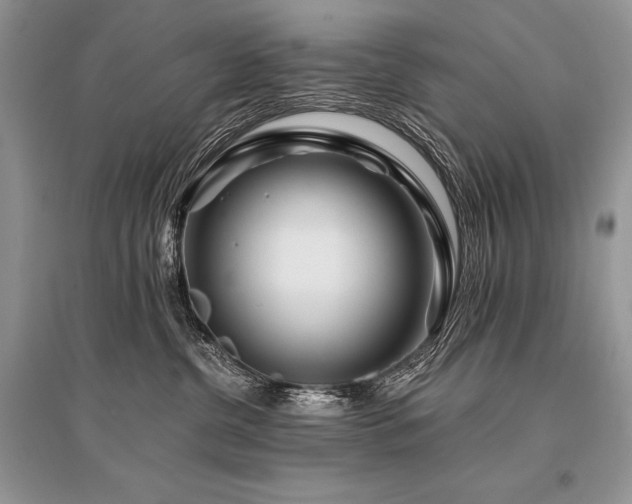 X0000096380380200801241242