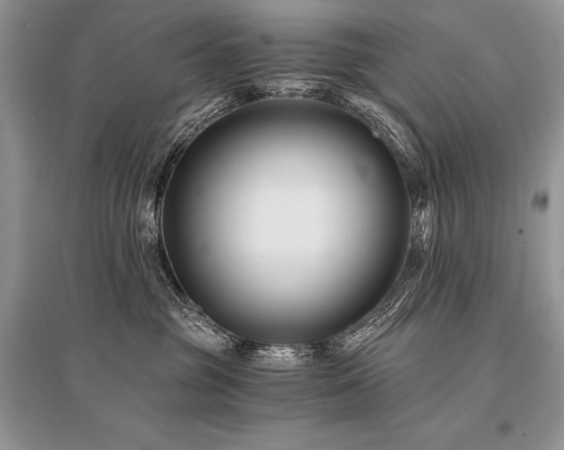 X0000096380381200801241242