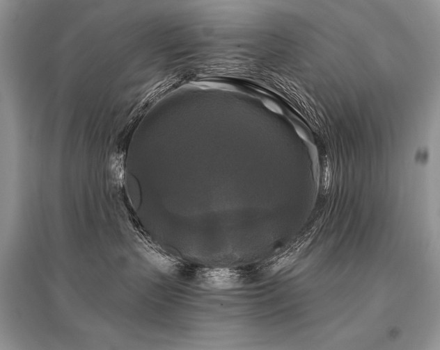 X0000096380383200801241242