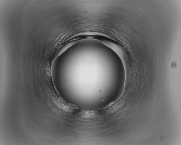 X0000096380384200801241242