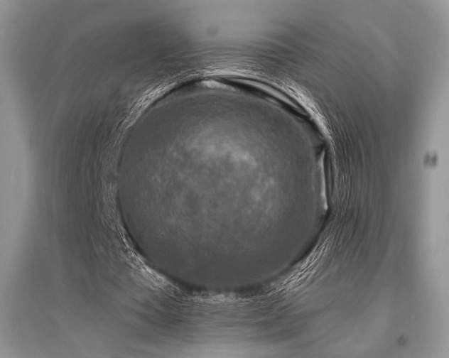 X0000096380385200801241242