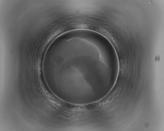 X0000096380386200801241242