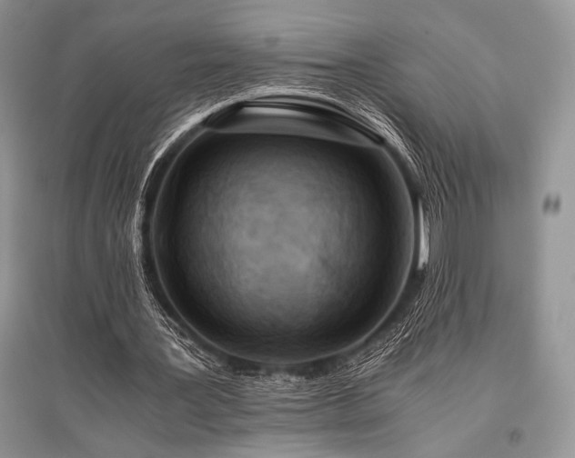 X0000096380387200801241242