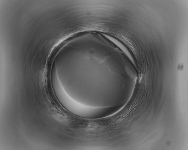 X0000096380388200801241242