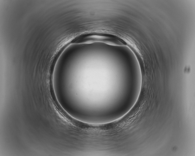 X0000096380389200801241242