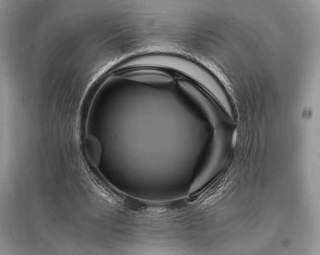 X0000096380391200801241242