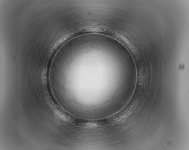X0000096380394200801241242