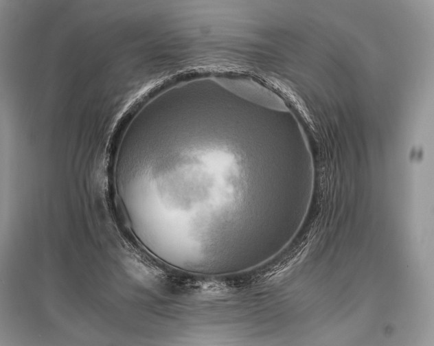 X0000096380395200801241242