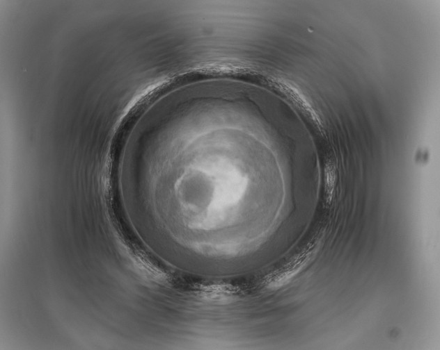 X0000096380396200801241241