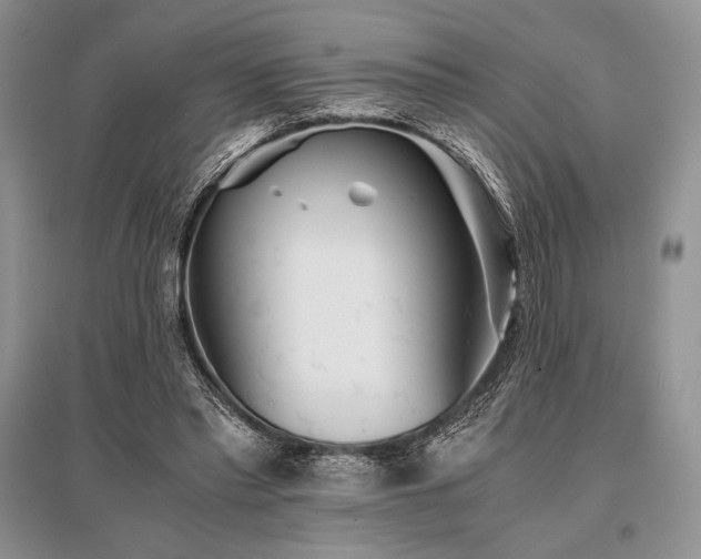 X0000096380397200801241241