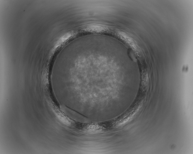 X0000096380399200801241241