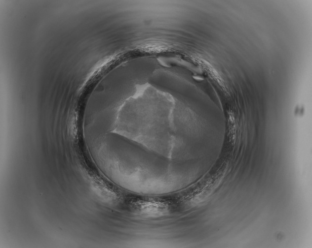 X0000096380400200801241241