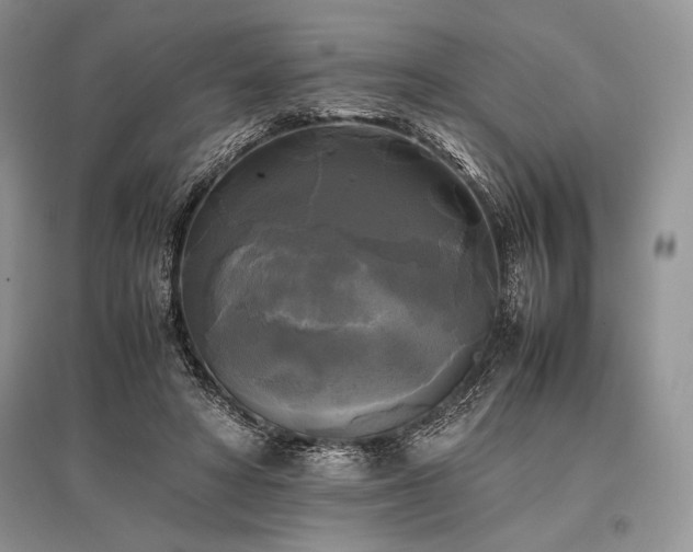 X0000096380402200801241241