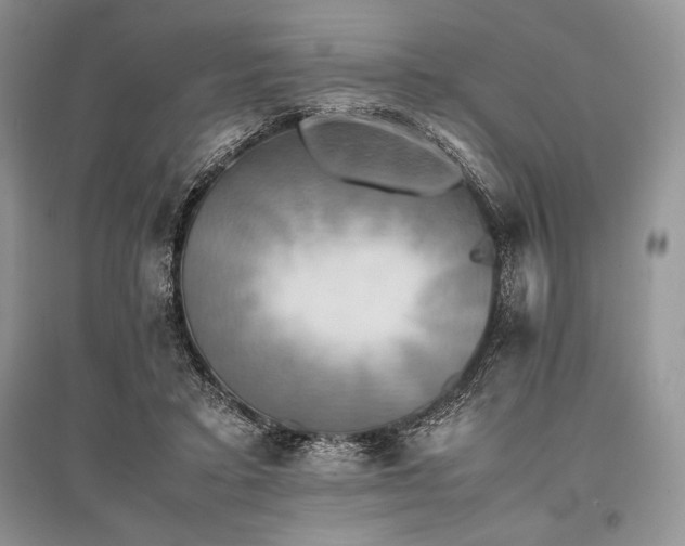 X0000096380403200801241241