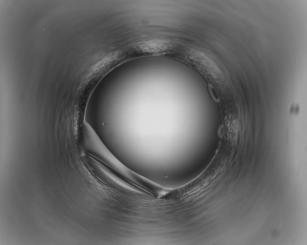 X0000096380404200801241241