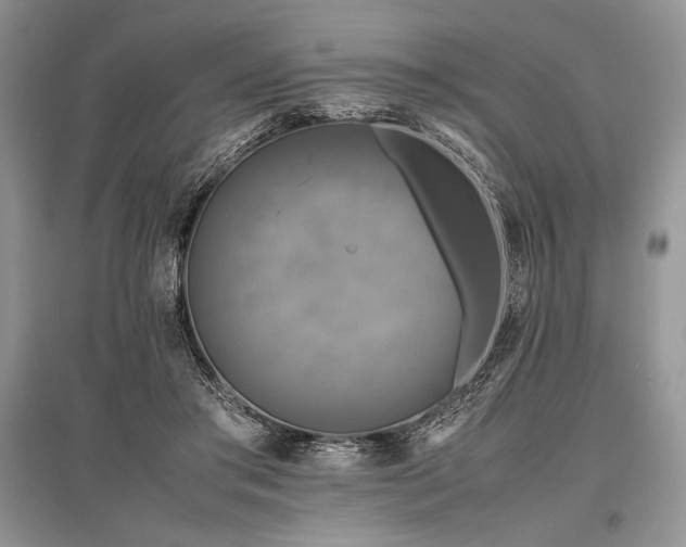 X0000096380405200801241241
