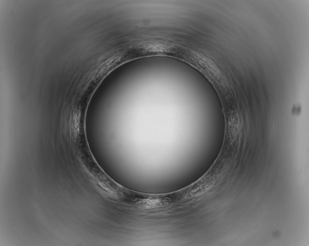 X0000096380406200801241241