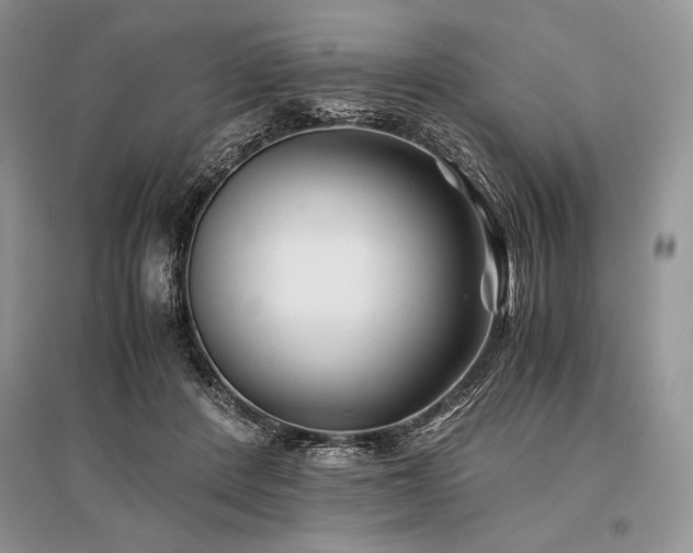 X0000096380408200801241241