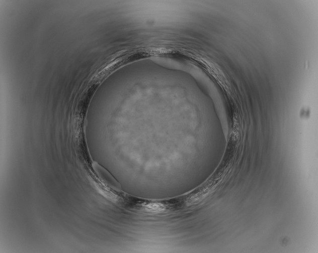 X0000096380409200801241241