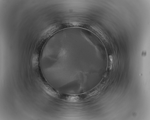 X0000096380410200801241241