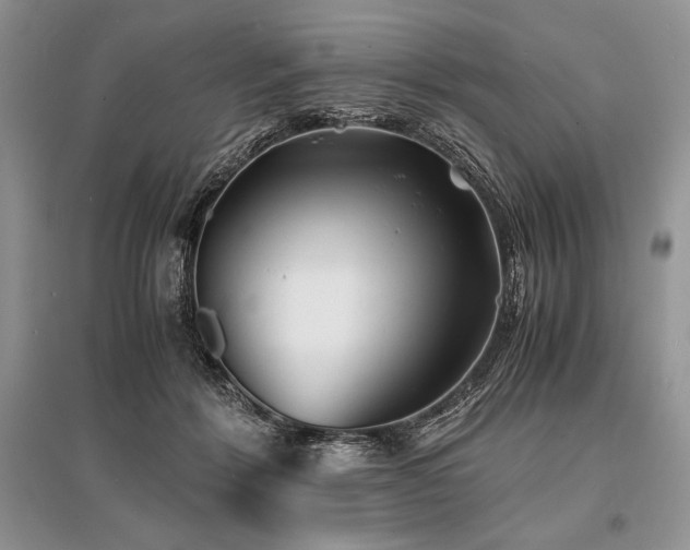 X0000096380412200801241241